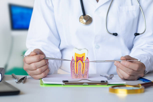 Best Emergency Wisdom Teeth Removal in Monticello, IL